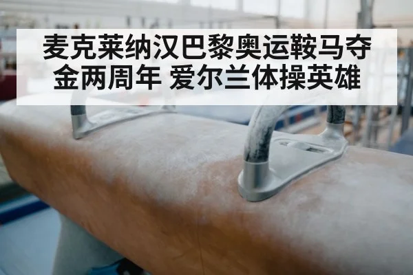 麦克莱纳汉巴黎奥运鞍马夺金两周年 爱尔兰体操英雄